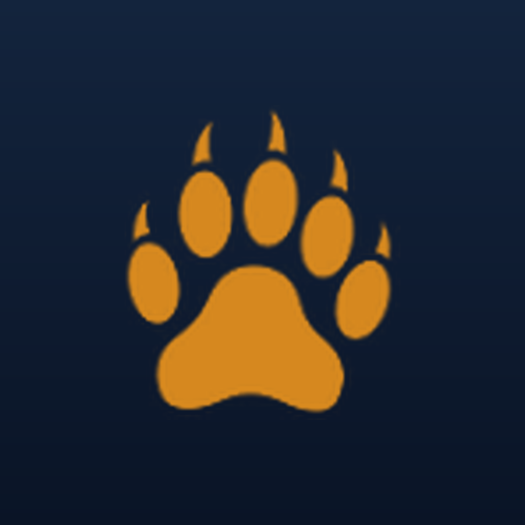 Bear Knowledge